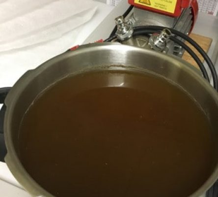 Hefe nach Vermehrung